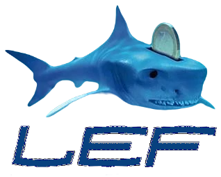 Logo van Stichting Leven en Financiën 